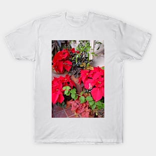 Sherman Gardens Study 6 T-Shirt